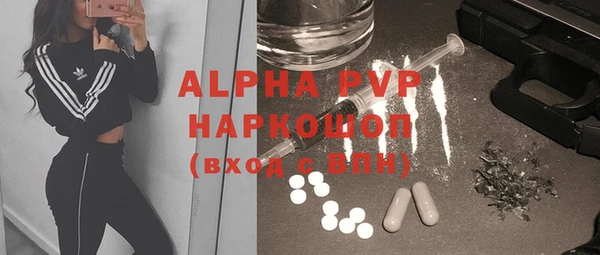 спайс Богданович