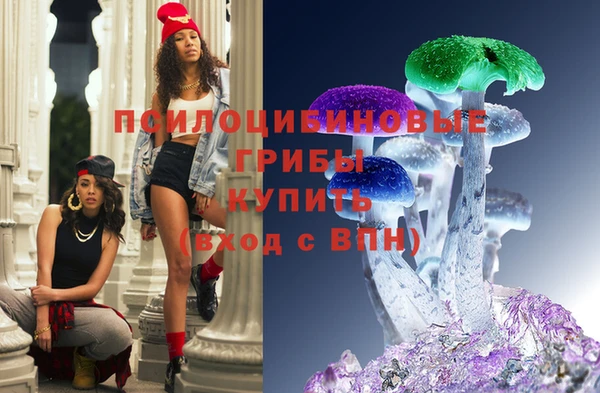 героин Богородицк