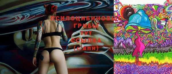 спайс Богданович