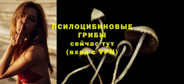 спайс Богданович