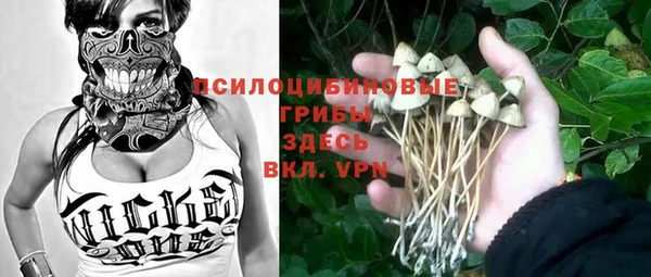 спайс Богданович