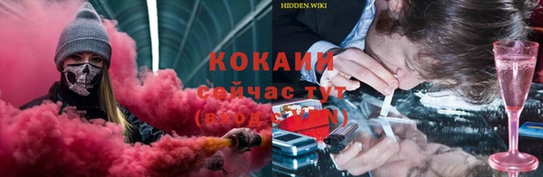 спайс Богданович